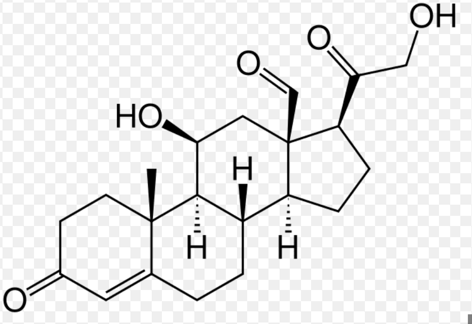<p>fused C-rings derived from cholesterol</p><p></p>