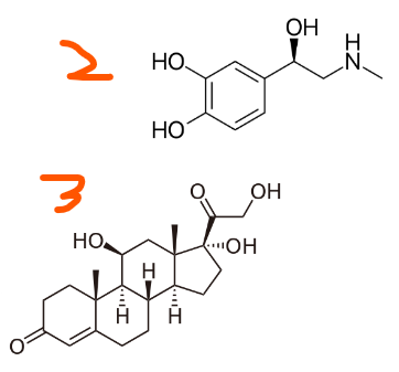 <p>Which of the following hormones could have an intracellular receptor? (select all that apply)</p><ol><li><p>Insulin (hydrophilic hormone)</p></li><li><p>Epinephrine</p></li><li><p>Cortisol</p></li><li><p>Angiotensin II (lipid-insoluble peptide hormone)</p></li></ol><p></p>