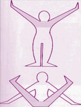 <p>Symmetrical patterns</p>