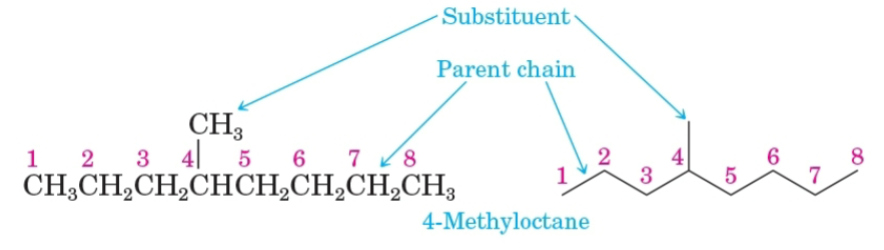 <p>The longest continuous chain of carbon atoms in a molecule.</p>