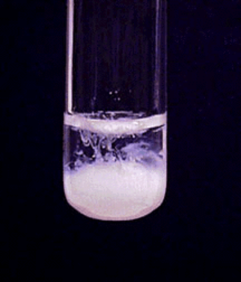 <p>White precipitate produced</p>
