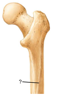 <p>Nom et caractéristiques de ce relief ?</p>