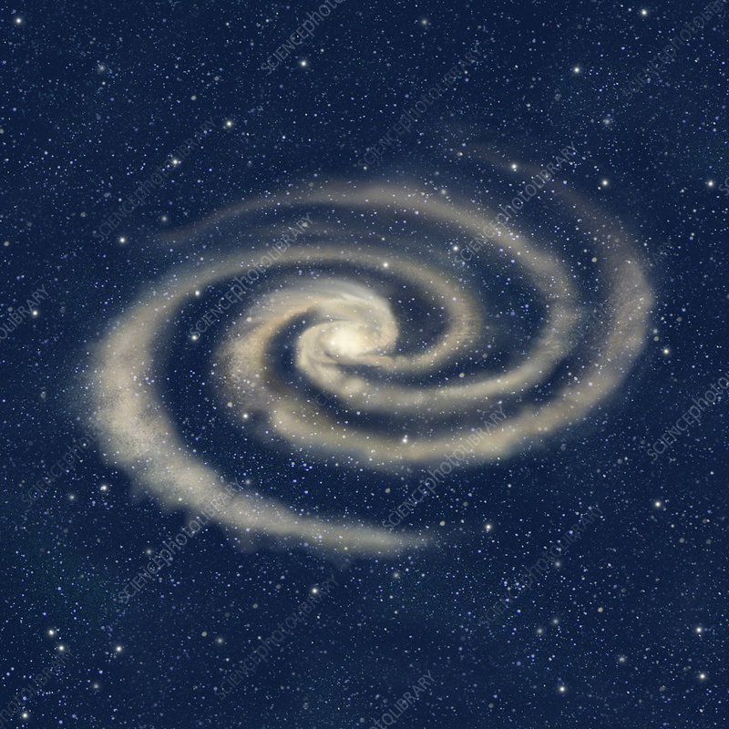 <p>A rotating disk of stars and gas with a central bulge, often containing spiral arms that extend outward from a central bulge and have active star formation.</p>