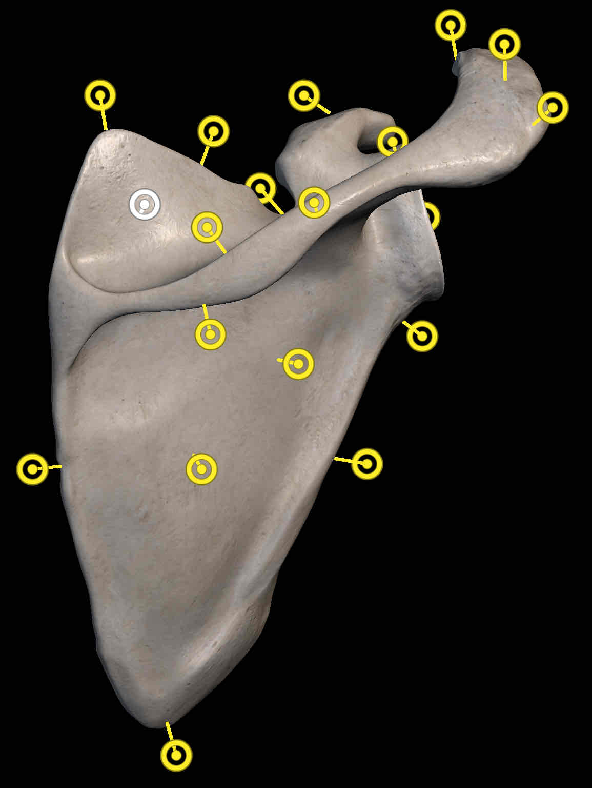 <p>Name the structure </p>