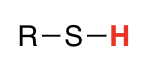 <p>thiols</p>