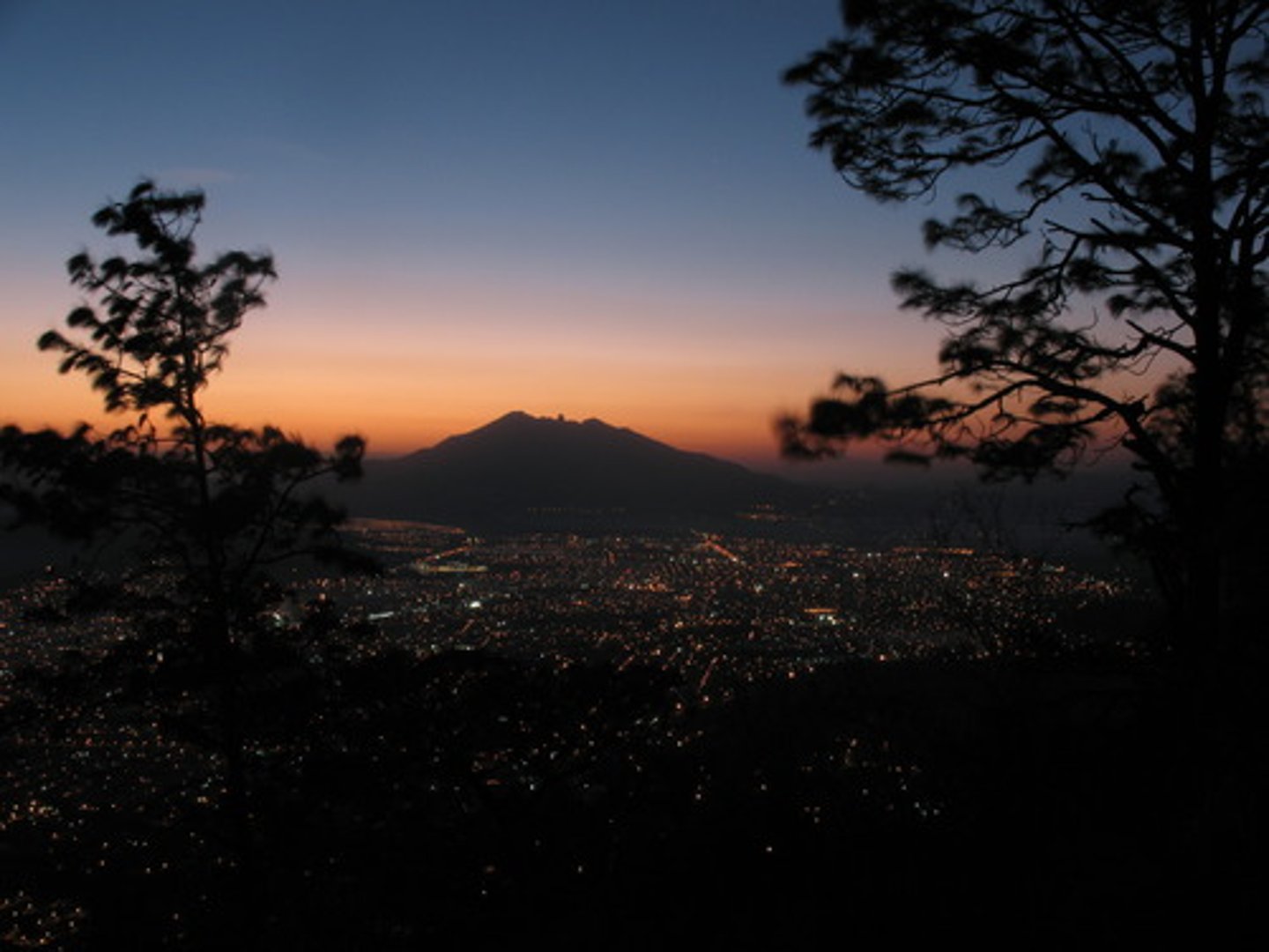 <p>dawn</p>
