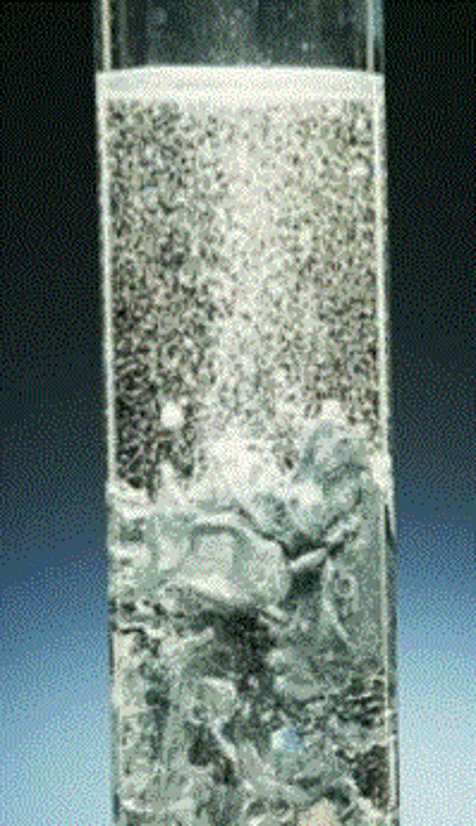 <p>strength, energy, or enthusiasm</p>