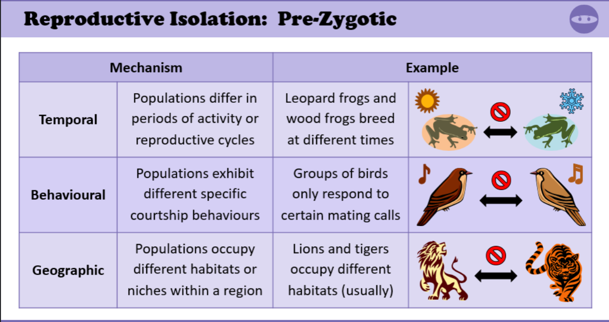 Pre-zygote