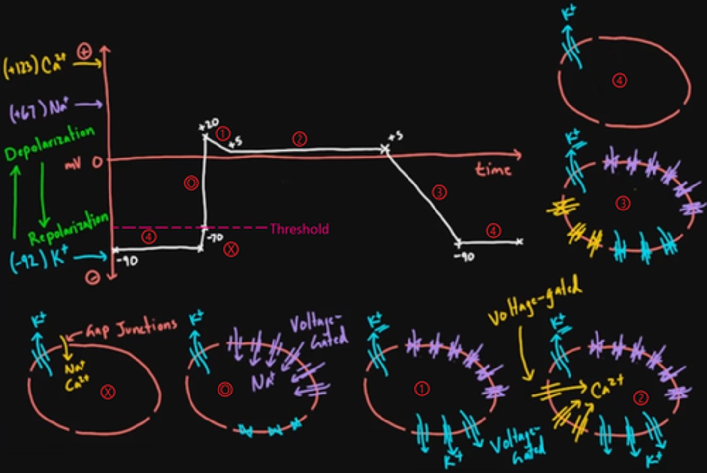 knowt flashcard image