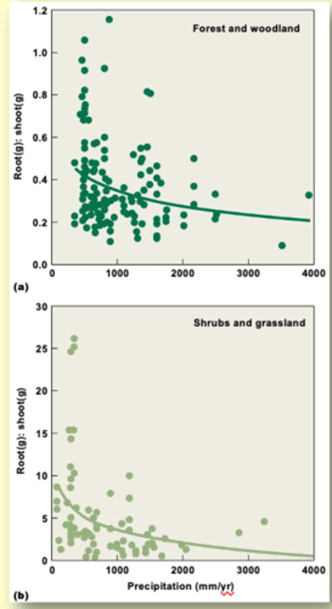 <p>increases ares for extracting water</p><p>(volume and depth)</p>