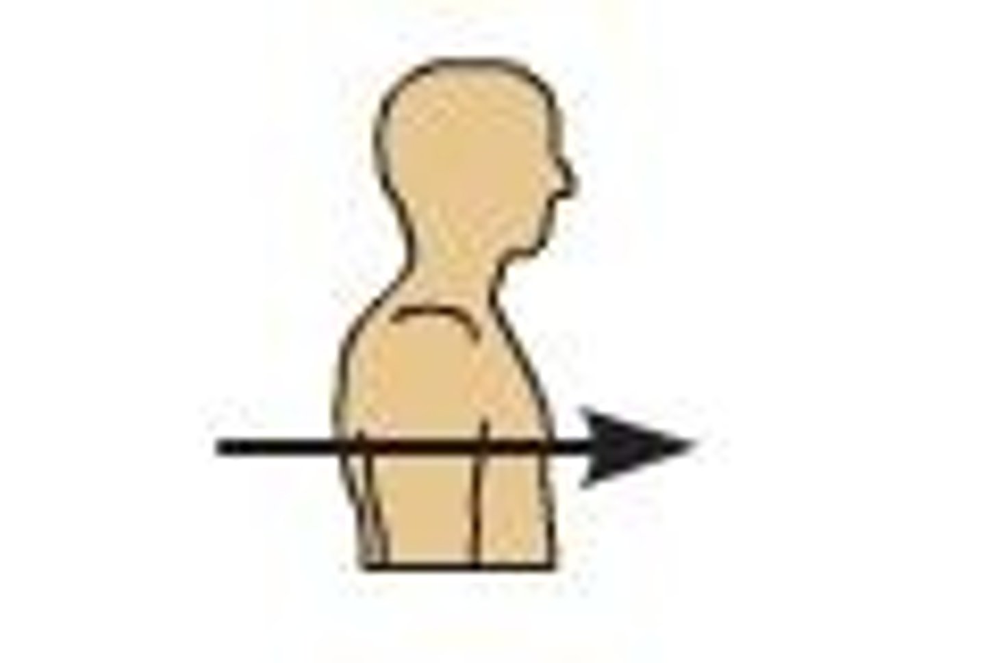 <p>Coming before in position or time<br>Located towards the front of the body</p>