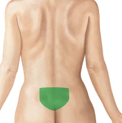<p>posterior region between the hip bones </p>