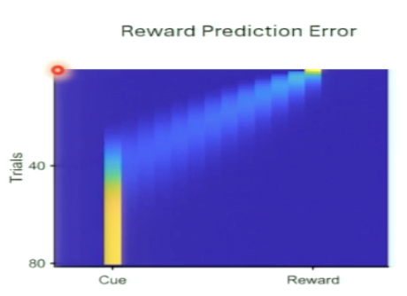 <p>Why is there no RPE between cue and reward?</p>