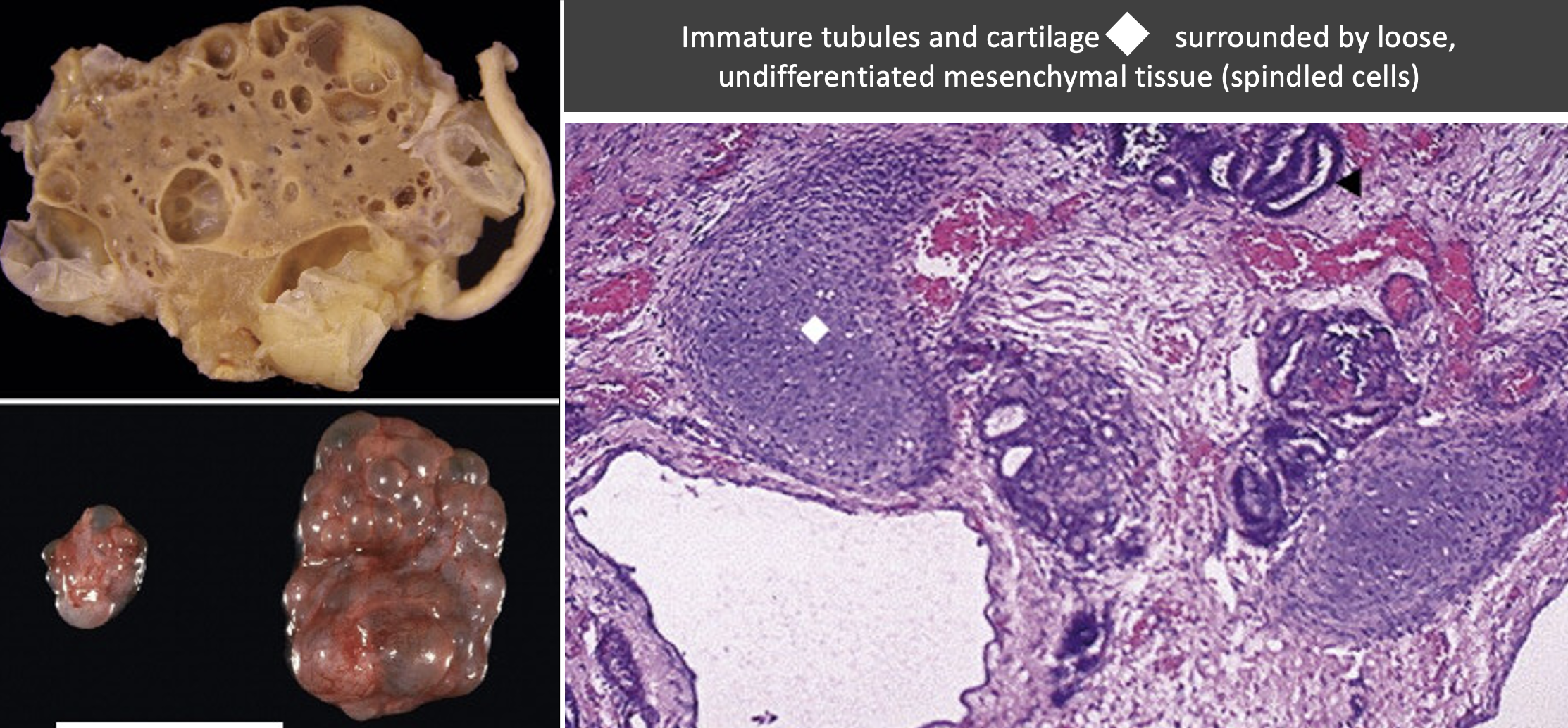 <p>What do these findings indicate?</p>