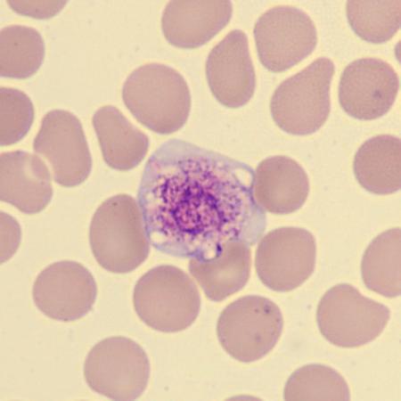 <p>What is this?</p>