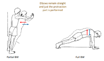 <p>These additional isotonic exercises are called what?</p>