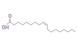 <p>18 carbons, double bond between 9-10</p>