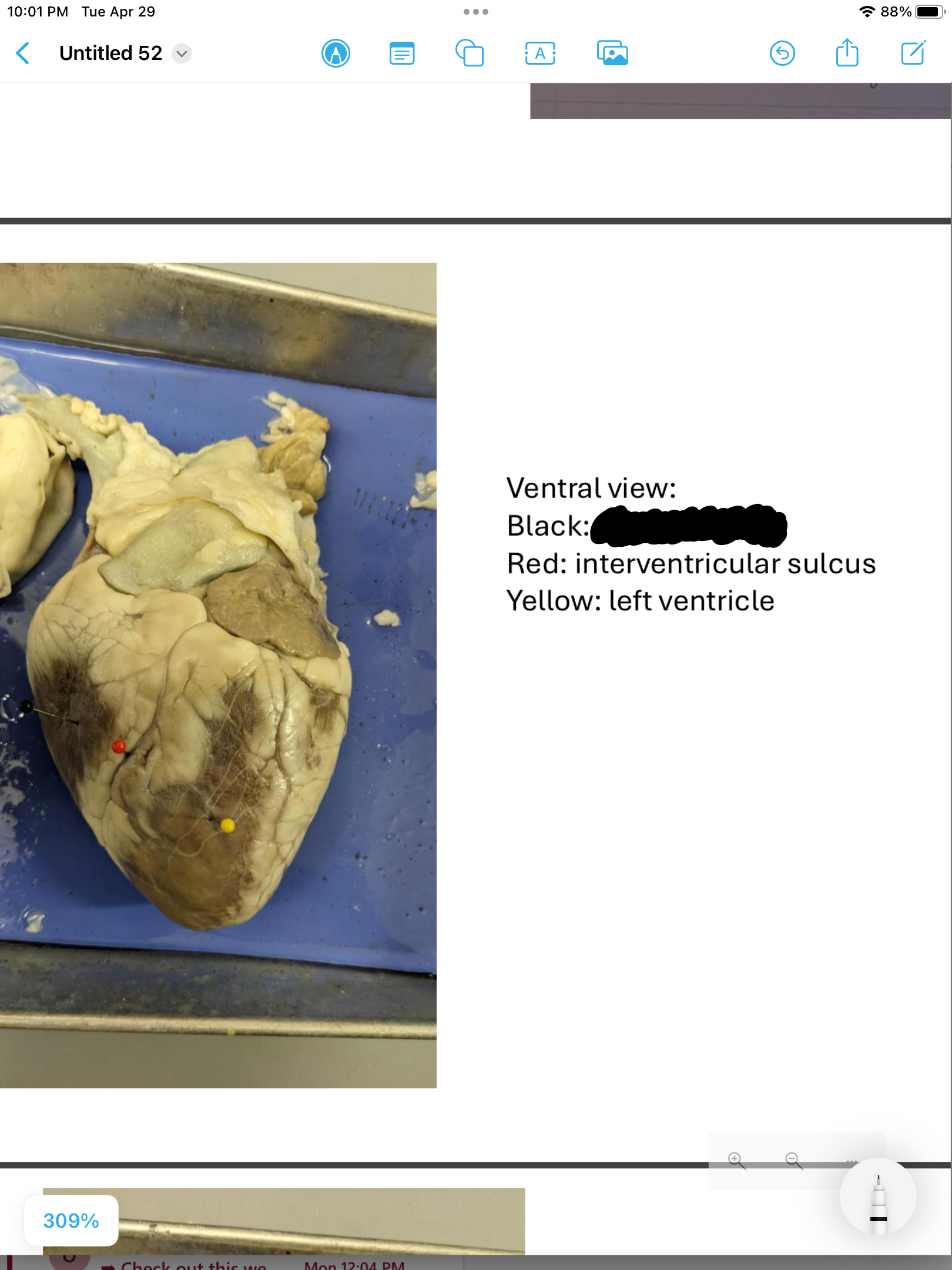 <p>label the area</p>