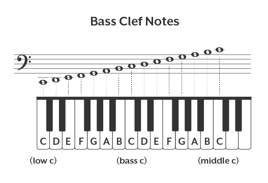 Notes in the Bass Clef 