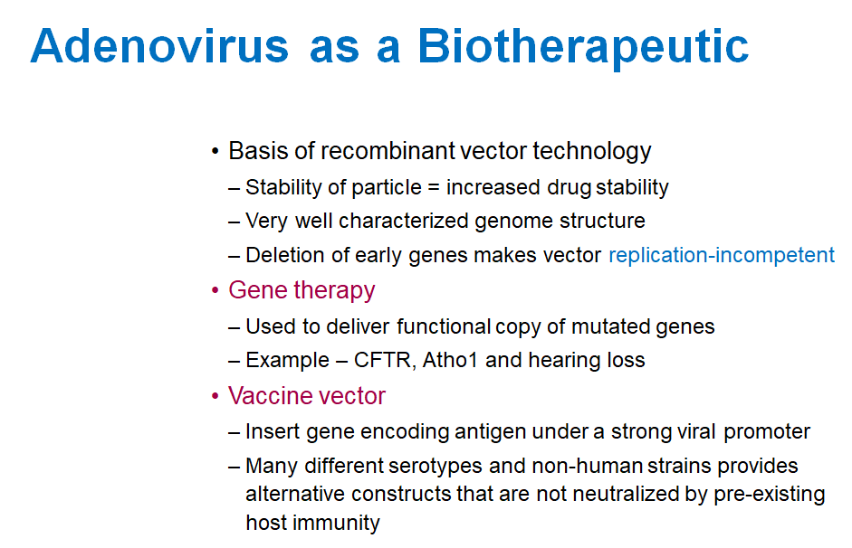 <ul><li><p>It <strong>helps deliver healthy genes to fix mutated ones </strong>(like for cystic fibrosis).</p></li><li><p>It can <strong>carry genes to make vaccines</strong>, using strong promoters to trigger the immune response.</p></li></ul><p></p>