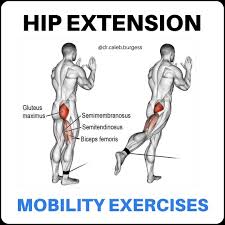 <p>Hip extension.</p>