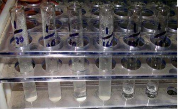 <ol><li><p>Name this test</p></li><li><p>The result of the reaction seen as ……</p></li><li><p>The Ag in the reaction is present in particulate form and is called ……</p></li><li><p>The Ab in this reaction is called ……</p></li><li><p>The result is “ qualitative or quantitative:</p></li><li><p>Uses of the test</p></li></ol>