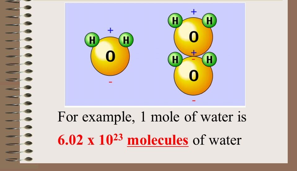 <p>The smallest unit in which a substance naturally occurs.</p>