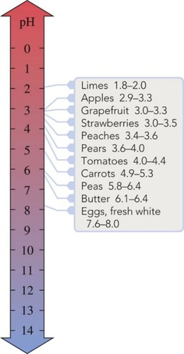 <p>A pH of 7.00, indicating a neutral solution.</p>