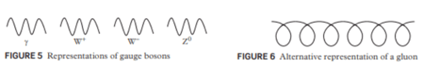 <p>Wiggly lines, with the respective letter or character of the type of boson indicated.</p>