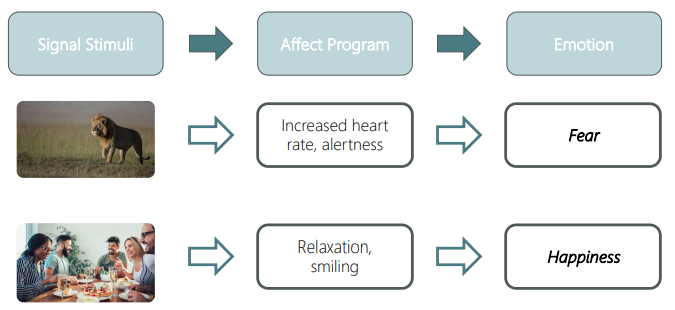 <ul><li><p>All the components of an emotion are grouped together, building an affect program</p><ul><li><p>There are distinct programs for each basic emotion</p></li><li><p>E.G. Signal stimuli → affect program → emotion</p></li><li><p>SEE GRAPH</p></li></ul></li><li><p>Affect programs are innate, but can change to include knowledge gained through individual experience (Ekman &amp; Cordaro, 2011)</p><ul><li><p>I.e. someone with trauma may experience a more elaborate affect program for fear</p></li></ul></li></ul>