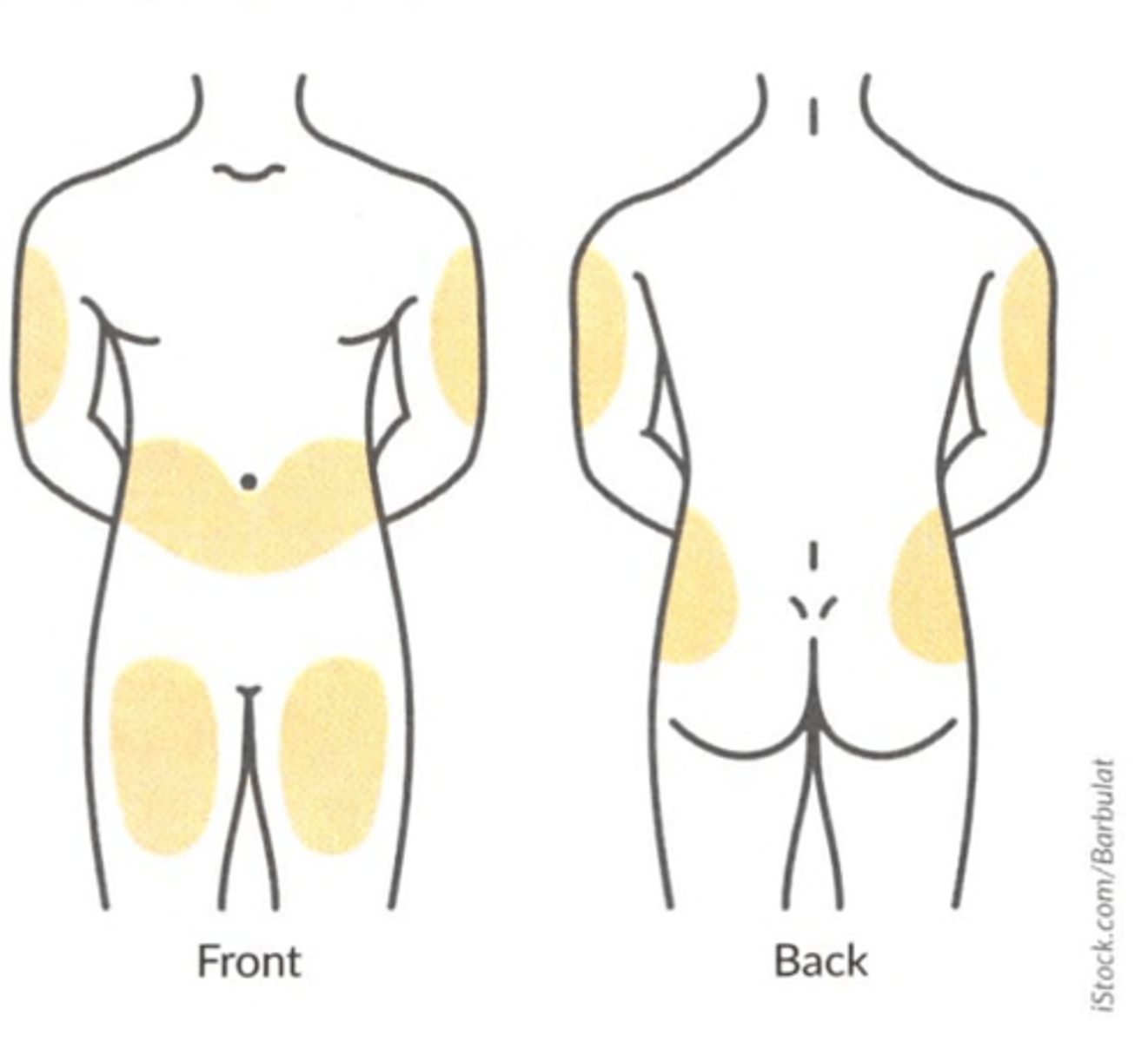 <p>Abdomen around belly button</p><p>Upper/outer arms</p><p>Thighs</p><p>Hips to the back</p>