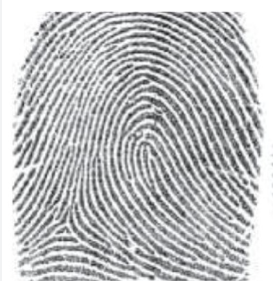 <p>type of print and characteristics? (left hand)</p>