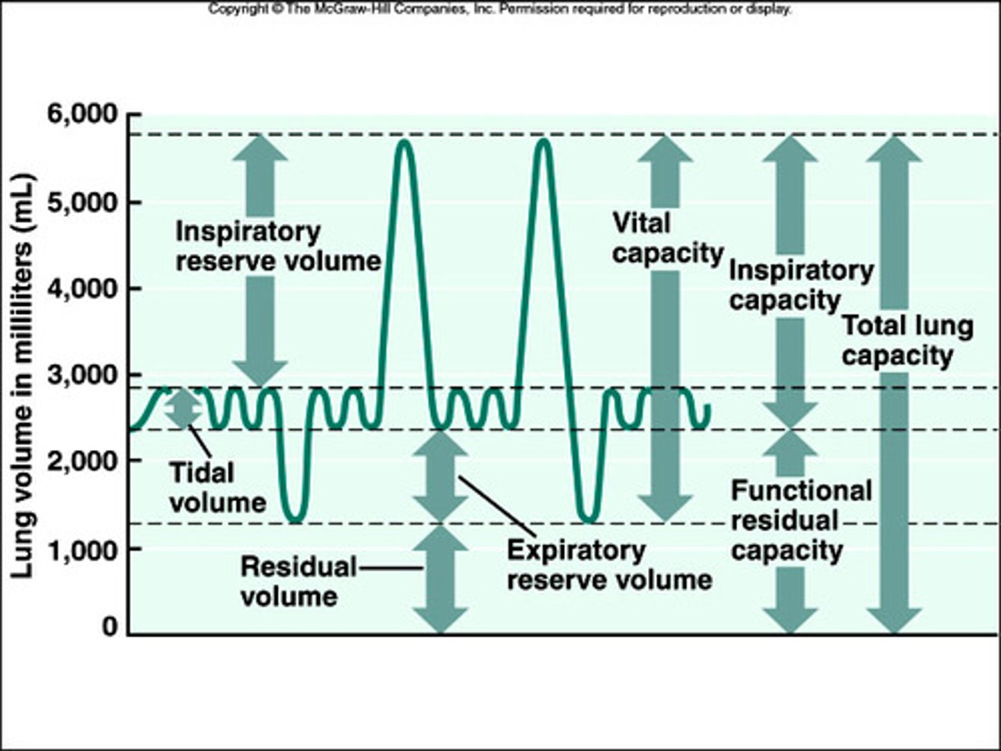 <p>Amount of air remaining in the lungs after a forced exhalation</p>