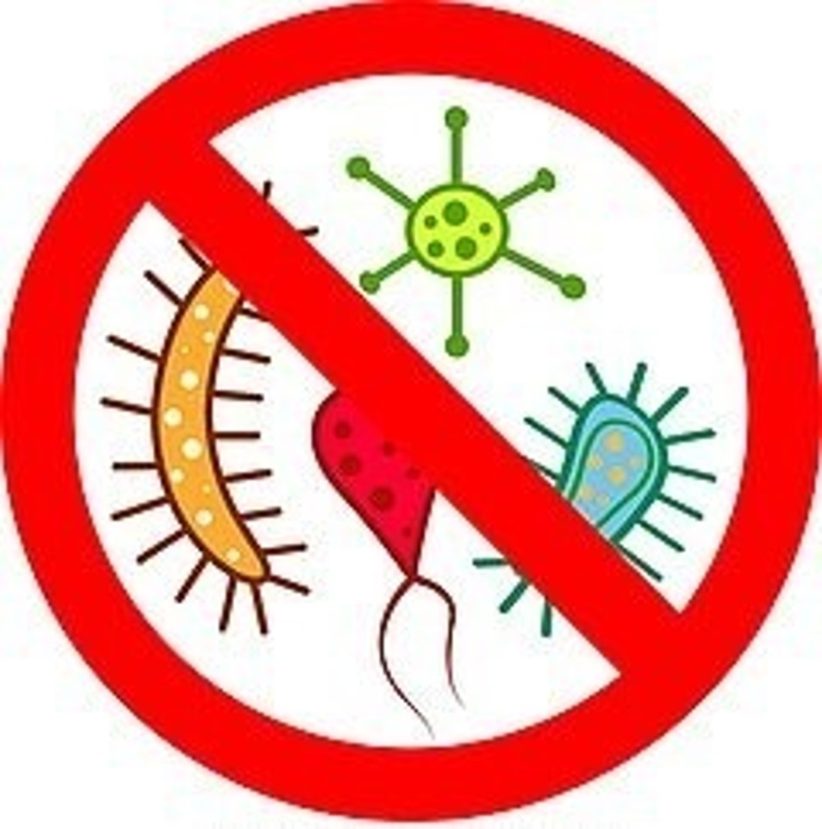 <p>the absence of microorganisms that cause disease</p>