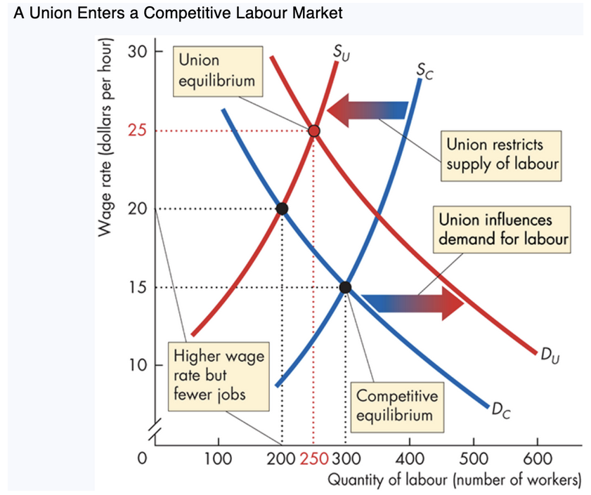 <p><span style="background-color: transparent; font-family: "Times New Roman", serif;"><strong><span>8. Union Market Equilibrium (Graph Summary)</span></strong></span></p><p><span style="background-color: transparent; font-family: "Times New Roman", serif;"><span>Without union:</span></span></p><ul><li><p><span style="background-color: transparent; font-family: "Times New Roman", serif;"><span>Wage = </span><strong><span>$15</span></strong></span></p></li><li><p><span style="background-color: transparent; font-family: "Times New Roman", serif;"><span>Employment = </span><strong><span>300</span></strong></span></p></li></ul><p><span style="background-color: transparent; font-family: "Times New Roman", serif;"><span>Union restricts supply (SC → SU):</span></span></p><ul><li><p><span style="background-color: transparent; font-family: "Times New Roman", serif;"><span>Wage rises to </span><strong><span>$20</span></strong></span></p></li><li><p><span style="background-color: transparent; font-family: "Times New Roman", serif;"><span>Employment falls to </span><strong><span>200</span></strong></span></p></li></ul><p><span style="background-color: transparent; font-family: "Times New Roman", serif;"><span>Union also increases demand (DC → DU):</span></span></p><ul><li><p><span style="background-color: transparent; font-family: "Times New Roman", serif;"><span>Wage rises further to </span><strong><span>$25</span></strong></span></p></li><li><p><span style="background-color: transparent; font-family: "Times New Roman", serif;"><span>Employment increases to </span><strong><span>250</span></strong></span></p></li></ul><p><span style="background-color: transparent; font-family: "Times New Roman", serif;"><span>Spillover effect:</span></span></p><ul><li><p><span style="background-color: transparent; font-family: "Times New Roman", serif;"><span>Excess workers enter </span><strong><span>___</span></strong><span> markets → ↑ supply in nonunion sectors → ↓ wages there</span></span></p></li></ul><p><span style="background-color: transparent; font-family: "Times New Roman", serif;"><span>Increases </span><strong><span>union–nonunion wage gap</span></strong></span></p>