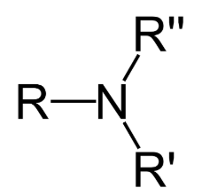 <ul><li><p><span style="background-color: transparent;"><span>ALWAYS has a nitrogen&nbsp;</span></span></p></li><li><p><span style="background-color: transparent;"><span>Found in proteins &amp; nucleic acids only</span></span></p></li></ul><p></p>
