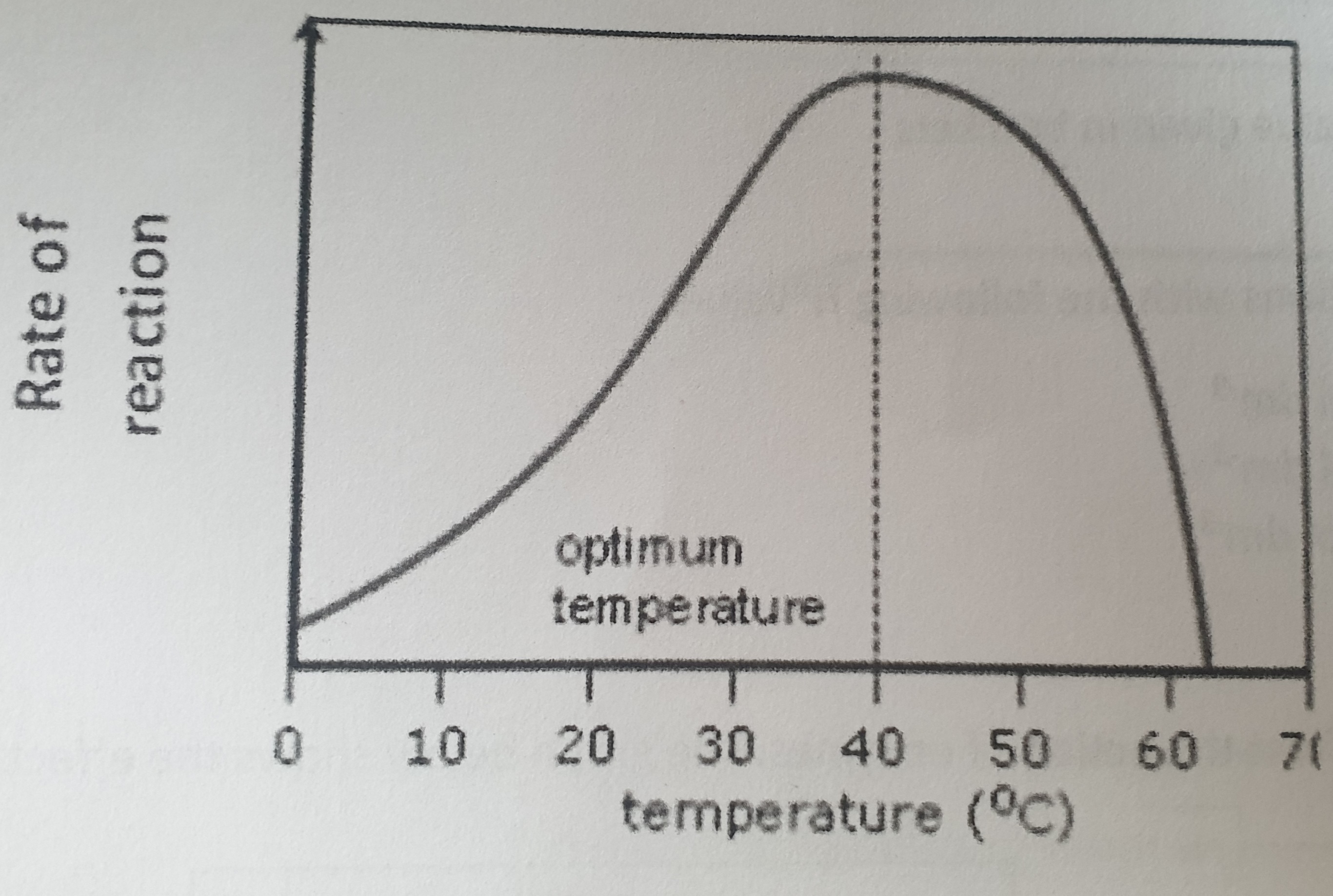 <p>Explain what is happening on this graph.</p>