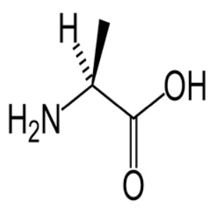 <p>Which amino acid is this?</p>