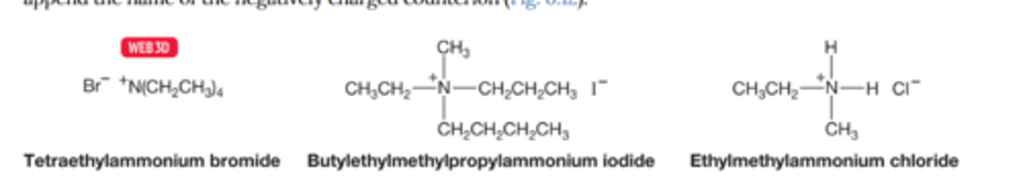 <p>Ammonium ions are named by alphabetically attaching the substituents in the prefix</p><p>Don't forget to include the name of the negatively charged counter ion</p>