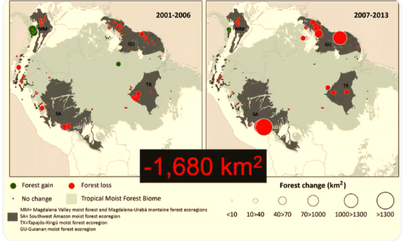 <ul><li><p>10-15% reduction in forest cover in Suriname</p></li><li><p>massive loss in Peru</p></li><li><p><strong>→ gold mining expansion is a massive driver of deforestation in the amazon</strong></p><img src="https://knowt-user-attachments.s3.amazonaws.com/a7c9ea21-29d9-4ca3-9739-75deb4de6d75.png" data-width="100%" data-align="center"></li></ul><p></p>