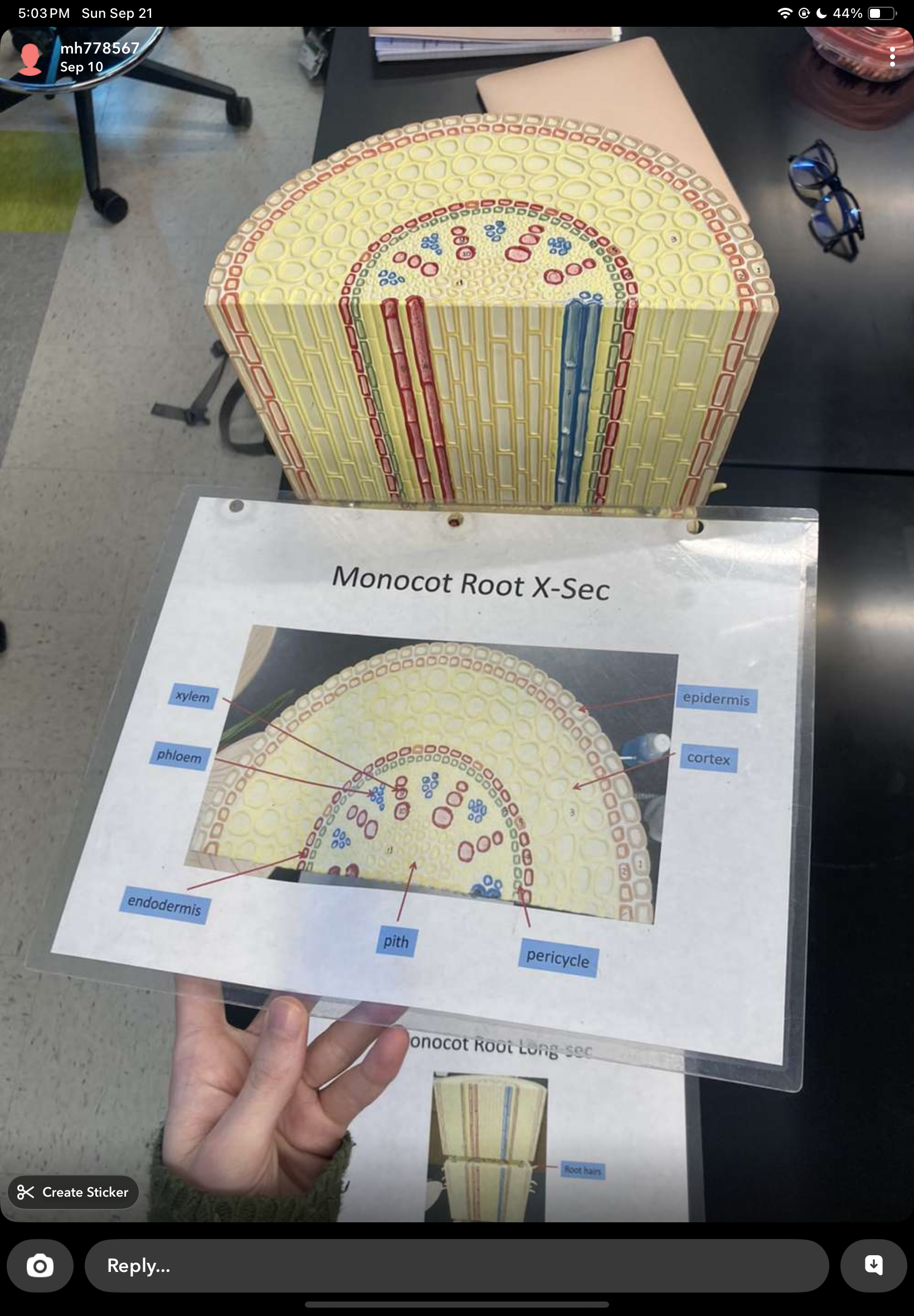 knowt flashcard image