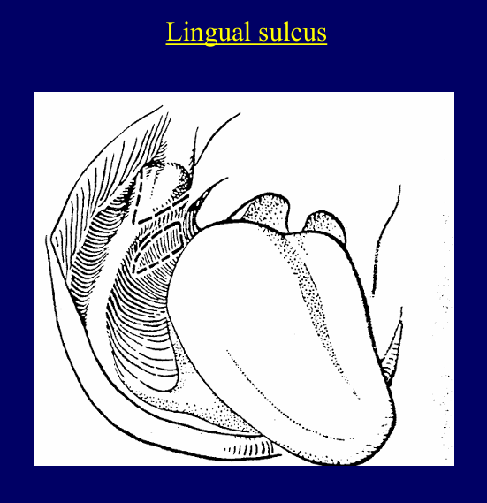 <p>What is the importance of this image?</p>