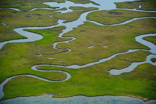 a wetland typically covered with grasses