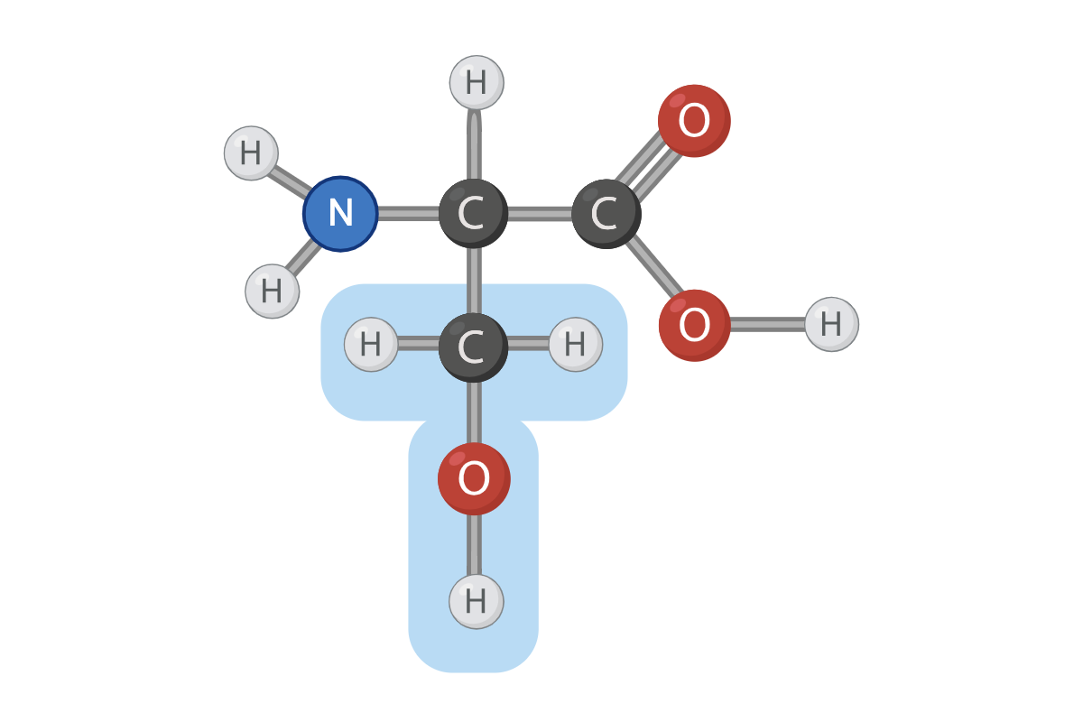 <p><span>True or False? The R group of this amino acid can form hydrogen bonds</span></p>