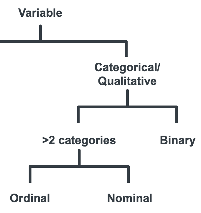 <ul><li><p>Ordinal</p></li><li><p>Nominal</p></li></ul><p></p>