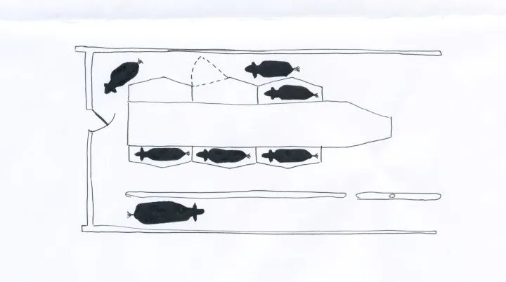 What kind of milking parlor is this?
