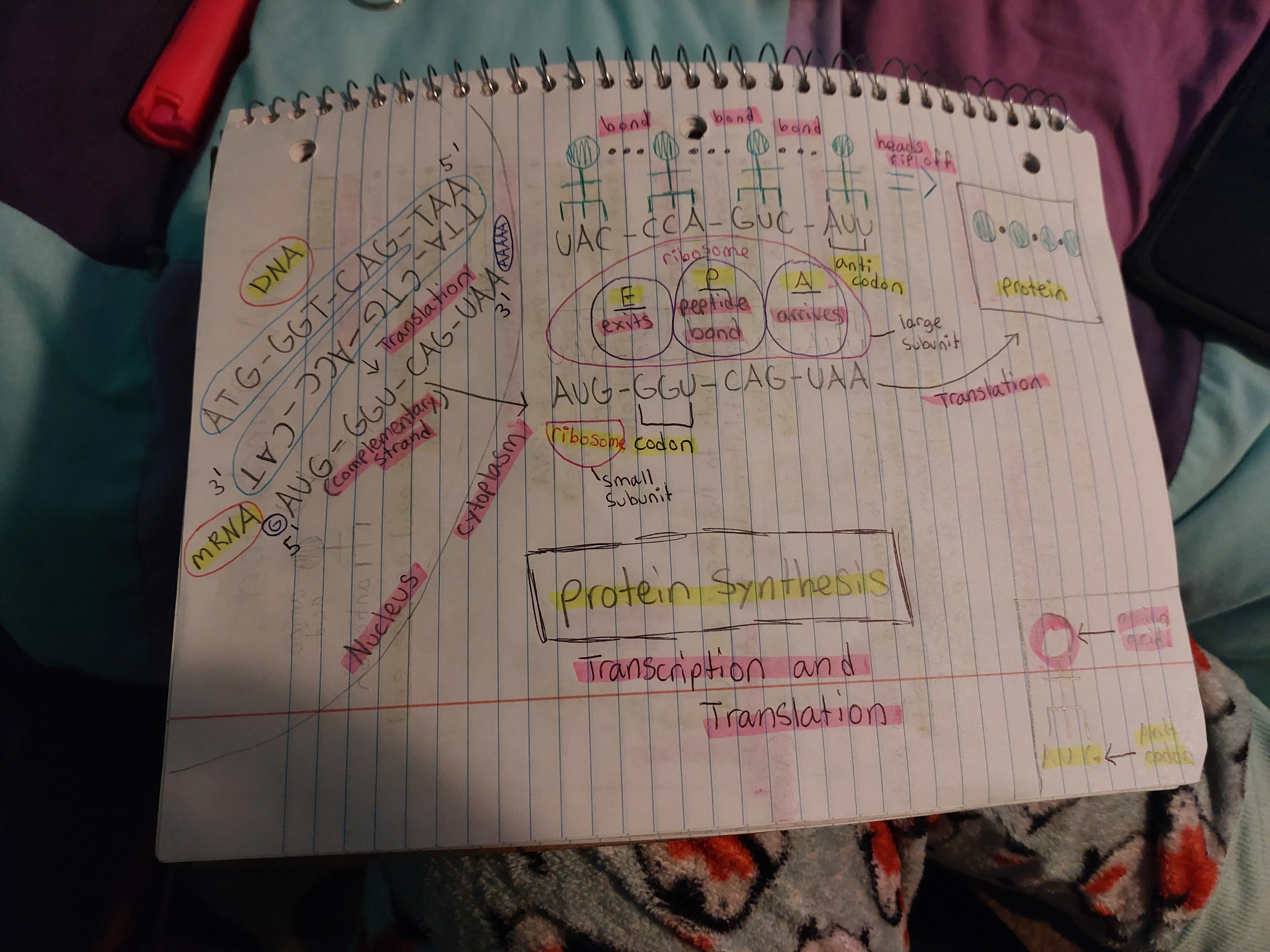 knowt flashcard image