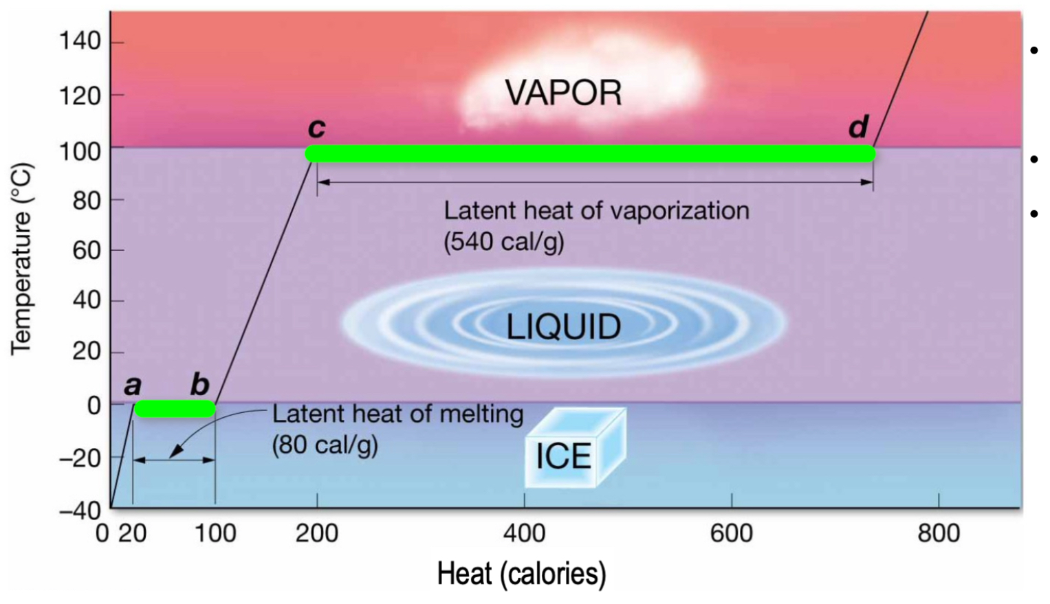 <ul><li><p>Energy is added, but temperature does not change.</p></li><li><p>“Hidden away” to drive phase change.</p></li><li><p>Large latent heat of vaporization to break hydrogen bonds - <strong>all</strong> H bonds need to be broken versus just some for transition from solid to liquid.</p></li></ul><p></p>