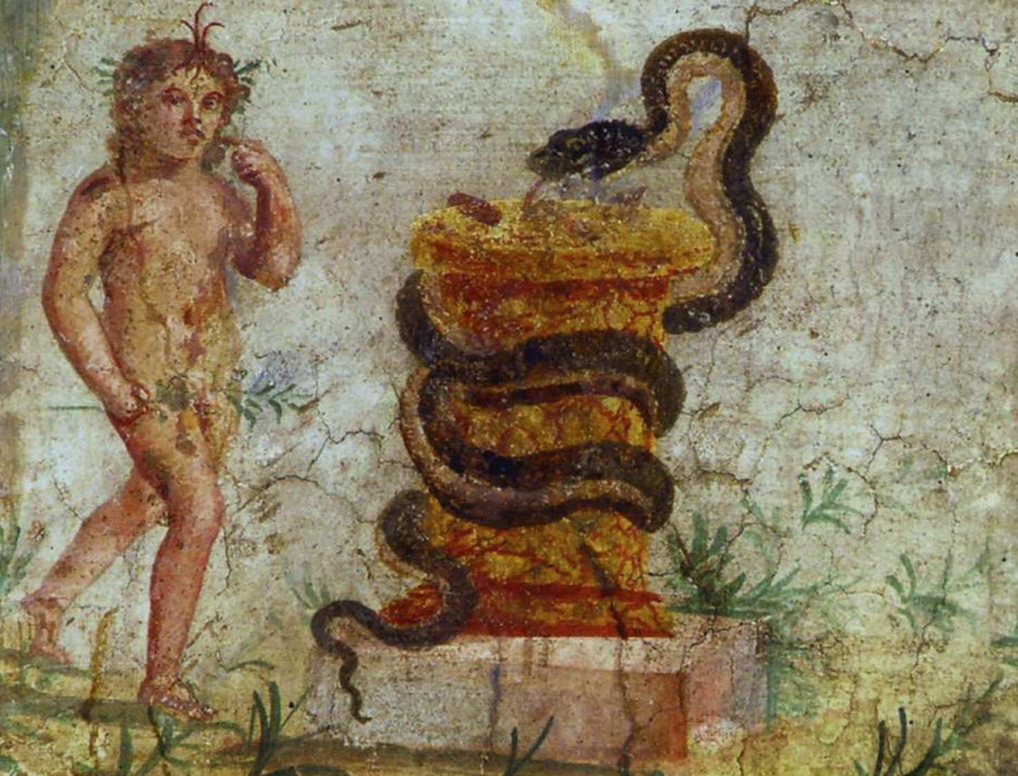 term image