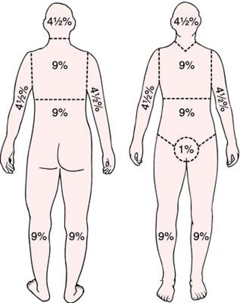 <p>1. most commonly used</p><p>2. used in the pre-hospital setting</p>